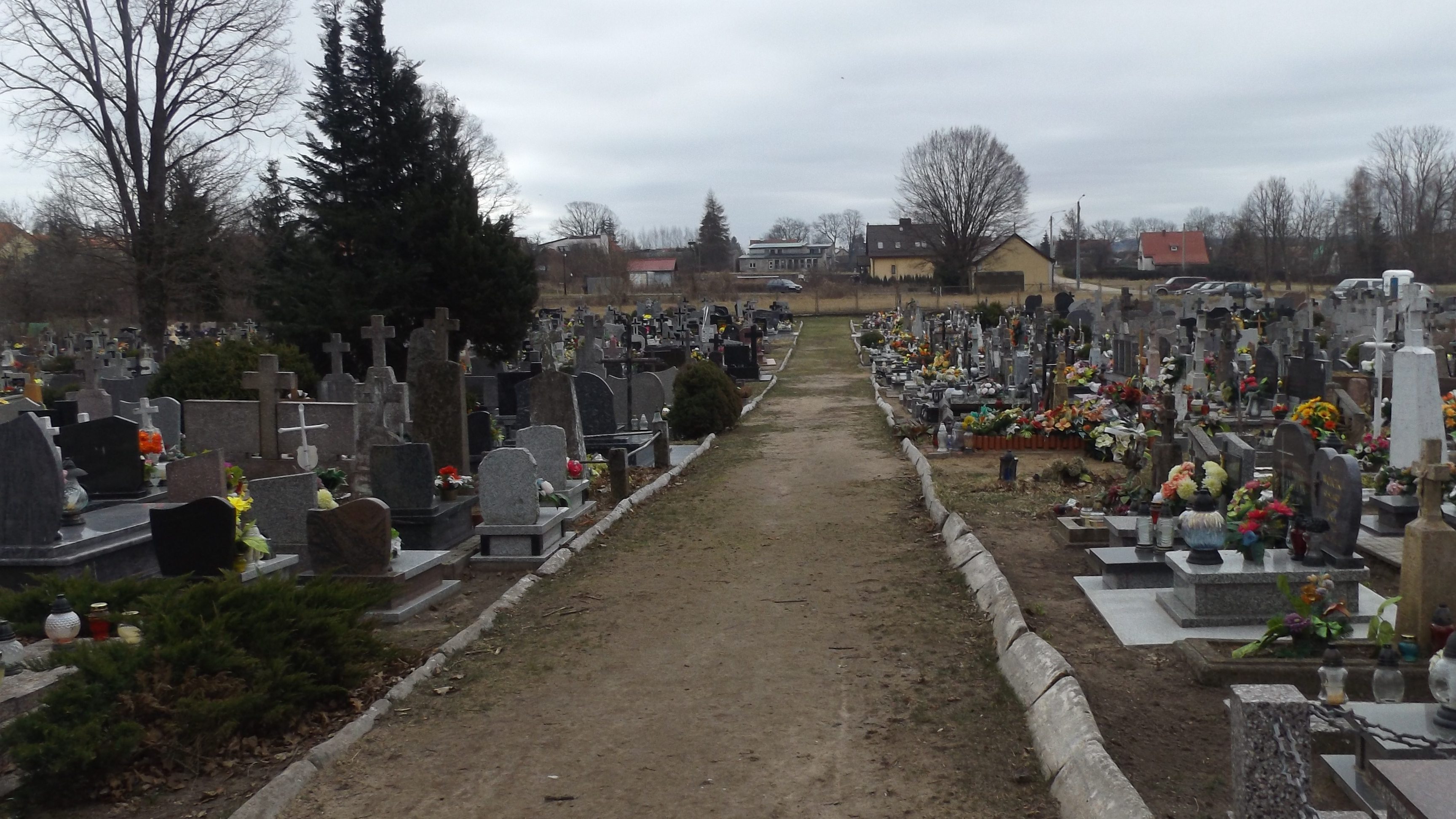 DSCF5176