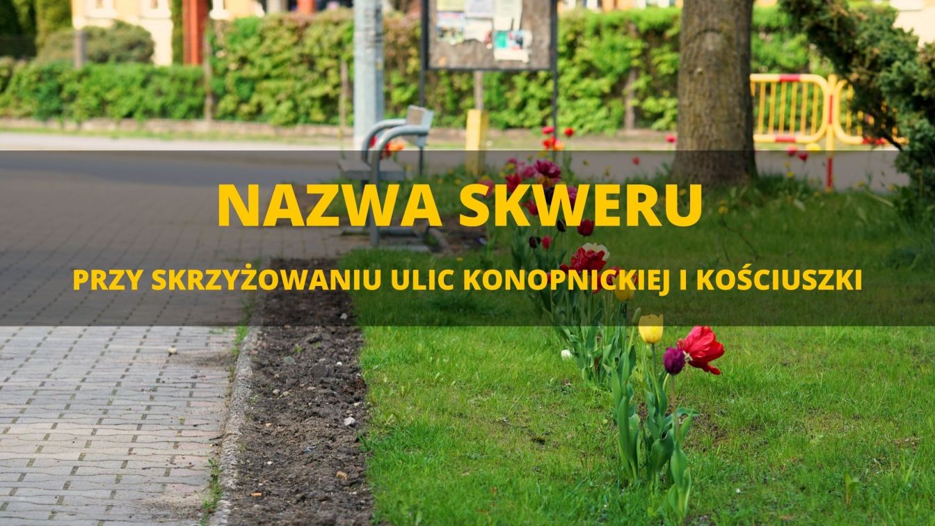 skwer_banie_maz