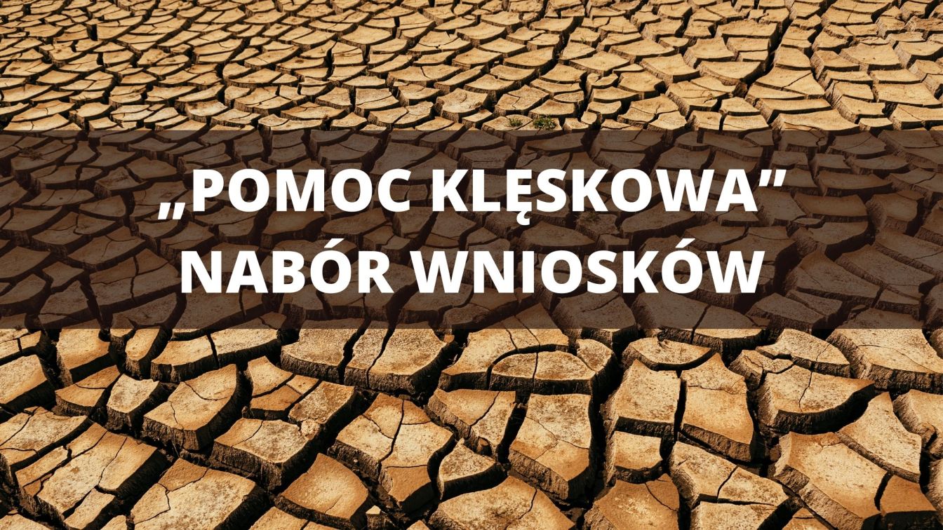 pomoc_arimr