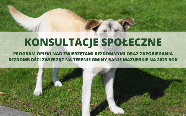 konsultacje_program