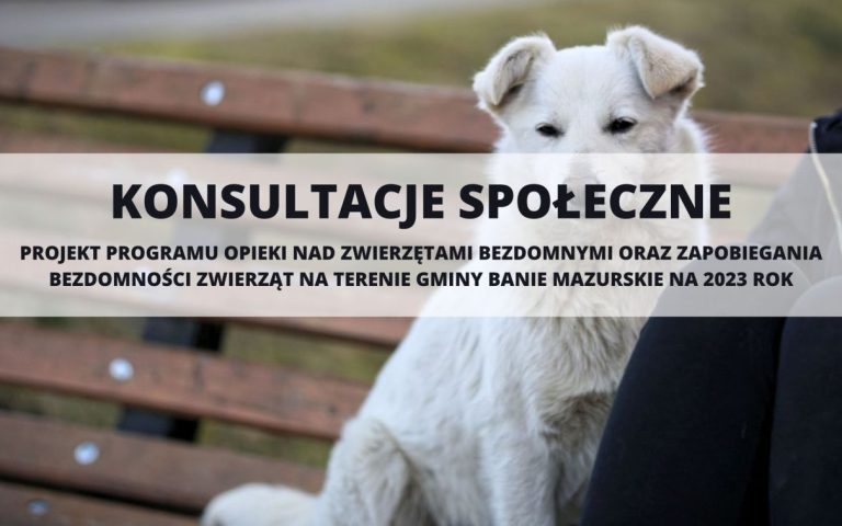 projekt_program_bezdomność