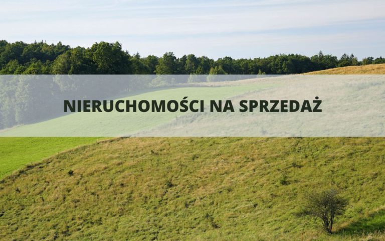 przetargi_sprzedaz