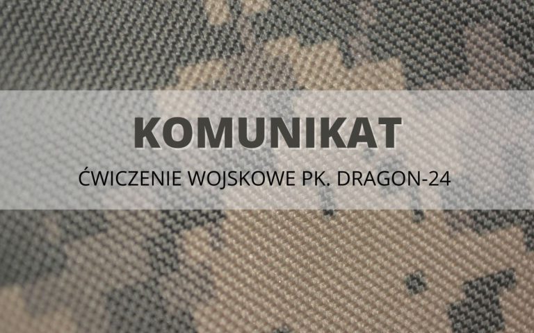 dragon_24