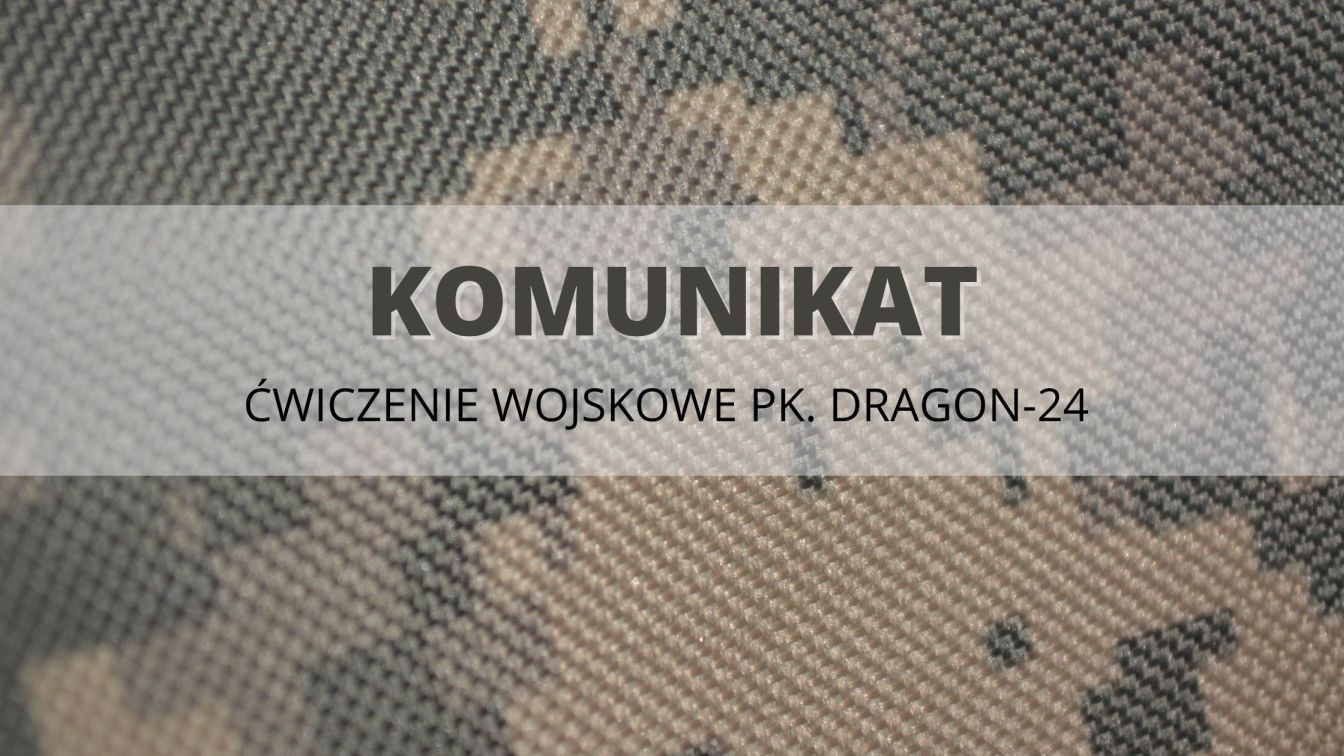 dragon_24