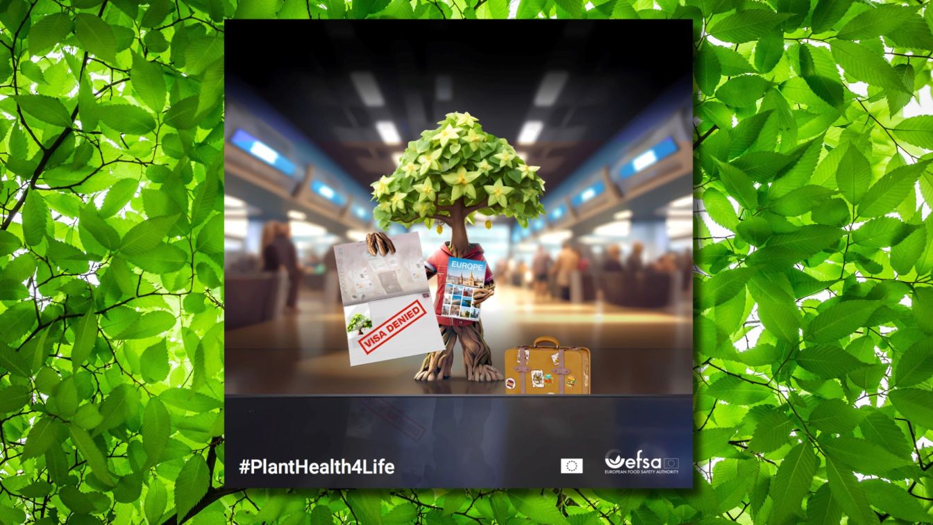 planthealth4life