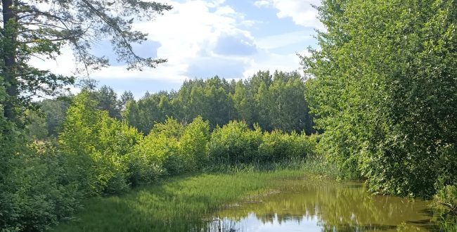 Zdjęcie INFORMACJA O NAJBLIŻSZYCH POLOWANIACH